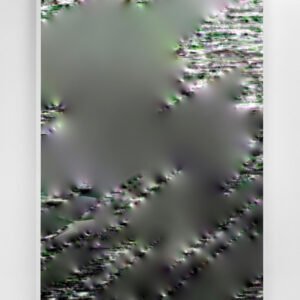 Aaron Scheer - DaNA XXXIV